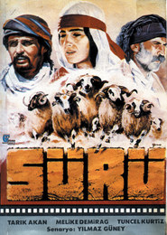 Suru is the best movie in Tuncel Kurtiz filmography.