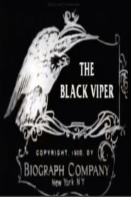 The Black Viper movie in D.W. Griffith filmography.