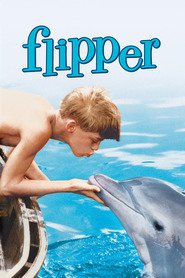 Flipper is the best movie in Joe Higgins filmography.