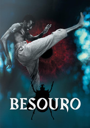 Besouro is the best movie in Chris Vianna filmography.