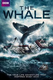 The Whale is the best movie in Andre Agius filmography.