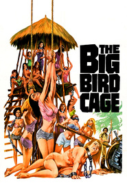 The Big Bird Cage movie in Pam Grier filmography.