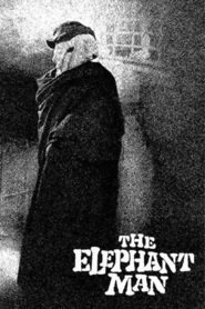The Elephant Man movie in Wendy Hiller filmography.