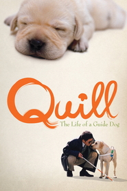 Quill movie in Keiko Toda filmography.