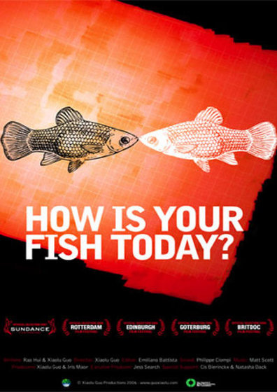 How is Your Fish Today? is the best movie in Ning Hao filmography.