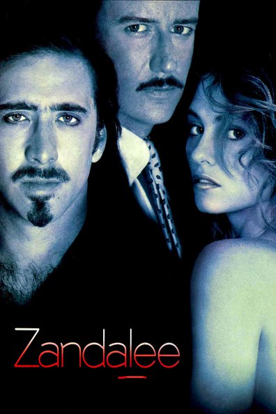 Zandalee is the best movie in Erika Anderson filmography.