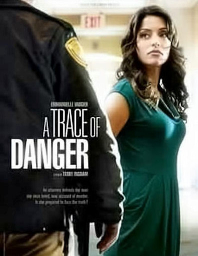 A Trace of Danger is the best movie in Laura Mennel filmography.