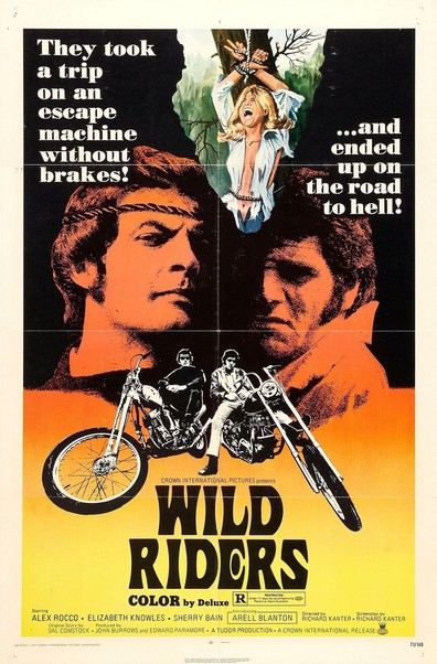 Wild Riders is the best movie in Sherry Bain filmography.