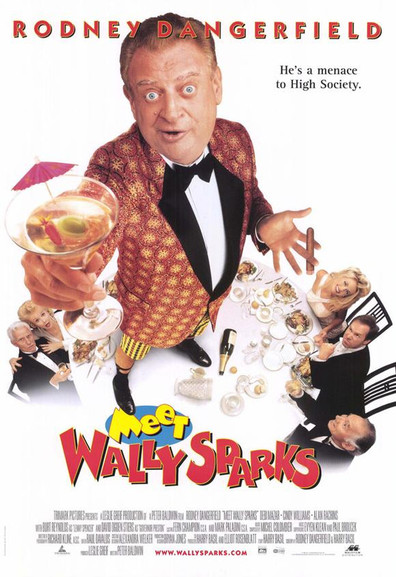 Meet Wally Sparks is the best movie in Sir Mix a Lot filmography.