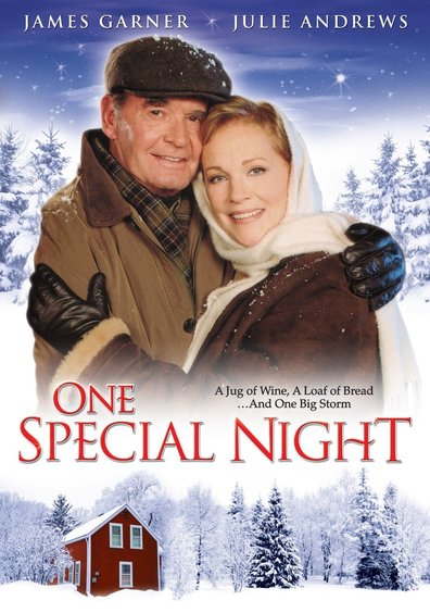 One Special Night is the best movie in Sheena Larkin filmography.