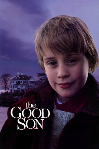 The Good Son is the best movie in Guy Strauss filmography.