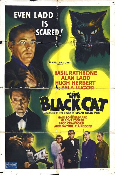 The Black Cat is the best movie in Claire Dodd filmography.