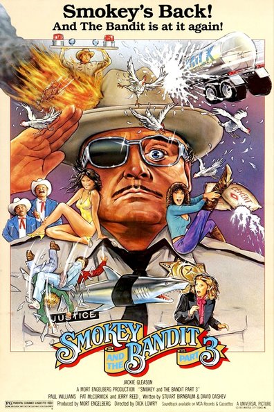 Smokey and the Bandit Part 3 is the best movie in Faith Minton filmography.