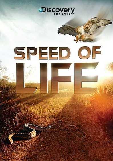 Speed of Life is the best movie in Mayk Klarkson filmography.