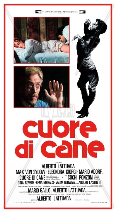 Cuore di cane is the best movie in Piero Tordi filmography.