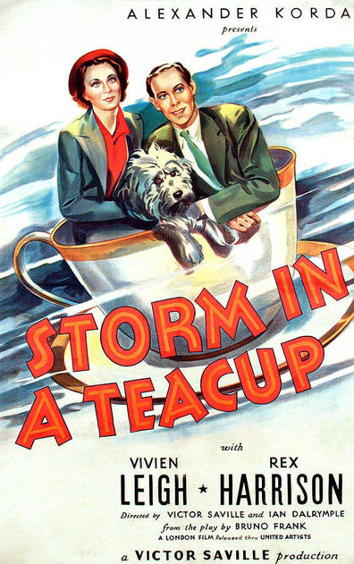 Storm in a Teacup is the best movie in Robert Hale filmography.