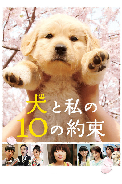 Inu to watashi no 10 no yakusoku is the best movie in Reiko Takashima filmography.