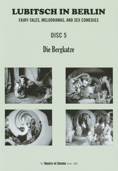 Die Bergkatze is the best movie in Wilhelm Diegelmann filmography.