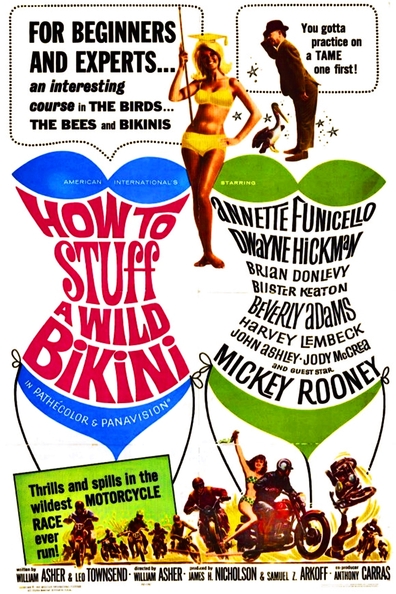 How to Stuff a Wild Bikini is the best movie in Myrna Ross filmography.
