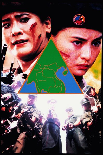 Mission of Justice is the best movie in James Lew filmography.