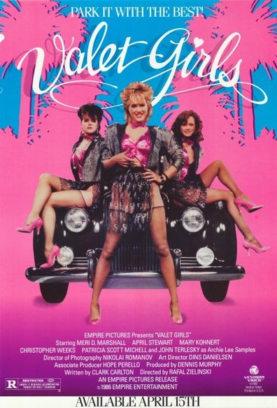 Valet Girls is the best movie in Steve Lyon filmography.