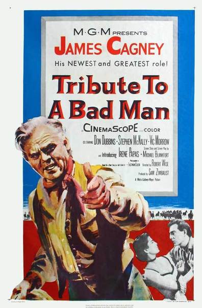 Tribute to a Bad Man is the best movie in Don Dubbins filmography.