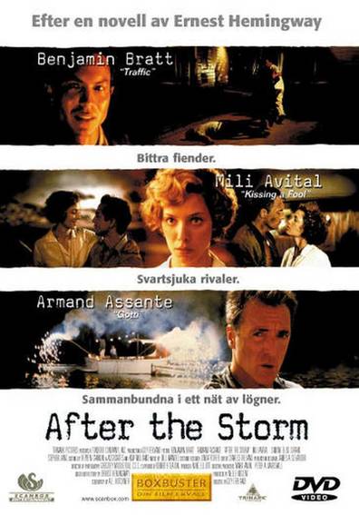 After the Storm is the best movie in Simone-Elise Girard filmography.