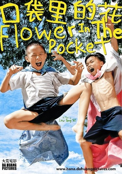 Flower in the Pocket is the best movie in James Lee filmography.