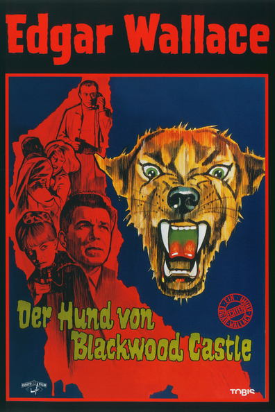 Der Hund von Blackwood Castle is the best movie in Hans Sohnker filmography.