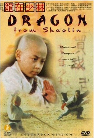 Long zai Shaolin is the best movie in Siu-Man Fok filmography.