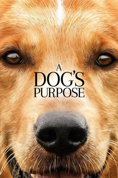 A Dog's Purpose is the best movie in Michael Bofshever filmography.