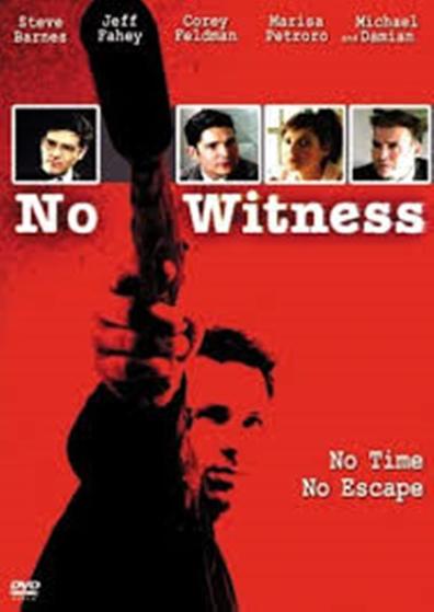 No Witness is the best movie in Michael Damian filmography.