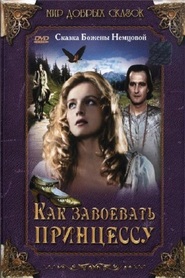 Jak si zaslouzit princeznu is the best movie in Gabriela Wilhelmova filmography.