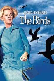 The Birds is the best movie in Rod Taylor filmography.