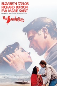 The Sandpiper movie in Robert Webber filmography.