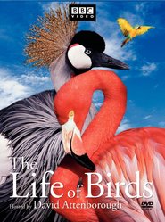 The Life of Birds is the best movie in David Attenborough filmography.