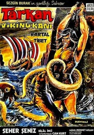 Tarkan Viking kani is the best movie in Fatma Belgen filmography.