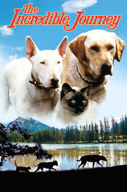 The Incredible Journey is the best movie in Beth Lockerbie filmography.