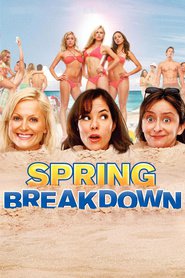 Spring Breakdown movie in Mae Whitman filmography.