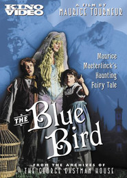The Blue Bird is the best movie in Florence Anderson filmography.