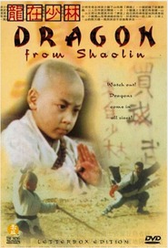 Long zai Shaolin movie in Kar-Ying Law filmography.