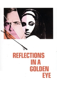 Reflections in a Golden Eye movie in Brian Keith filmography.