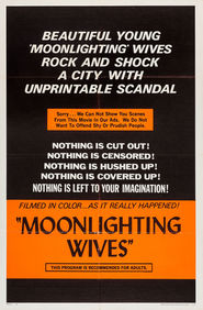 Moonlighting Wives movie in John Aristedes filmography.