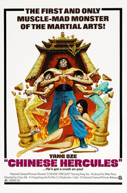 Ma tou da jue dou is the best movie in Bolo Yeung filmography.