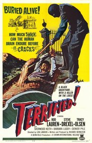 Terrified is the best movie in Rod Lauren filmography.