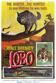 The Legend of Lobo movie in Rex Allen filmography.