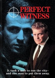Perfect Witness is the best movie in Laura Harrington filmography.
