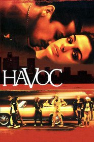 Havoc movie in Mike Vogel filmography.