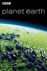 Planet Earth is the best movie in David Attenborough filmography.