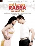 Mel Karade Rabba is the best movie in Neeru Bajwa filmography.